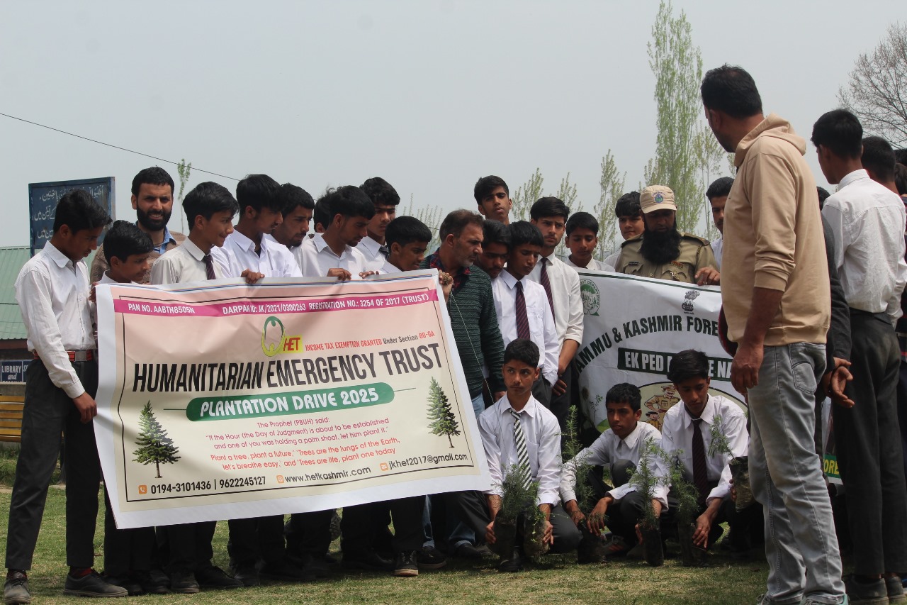 Plantation drive