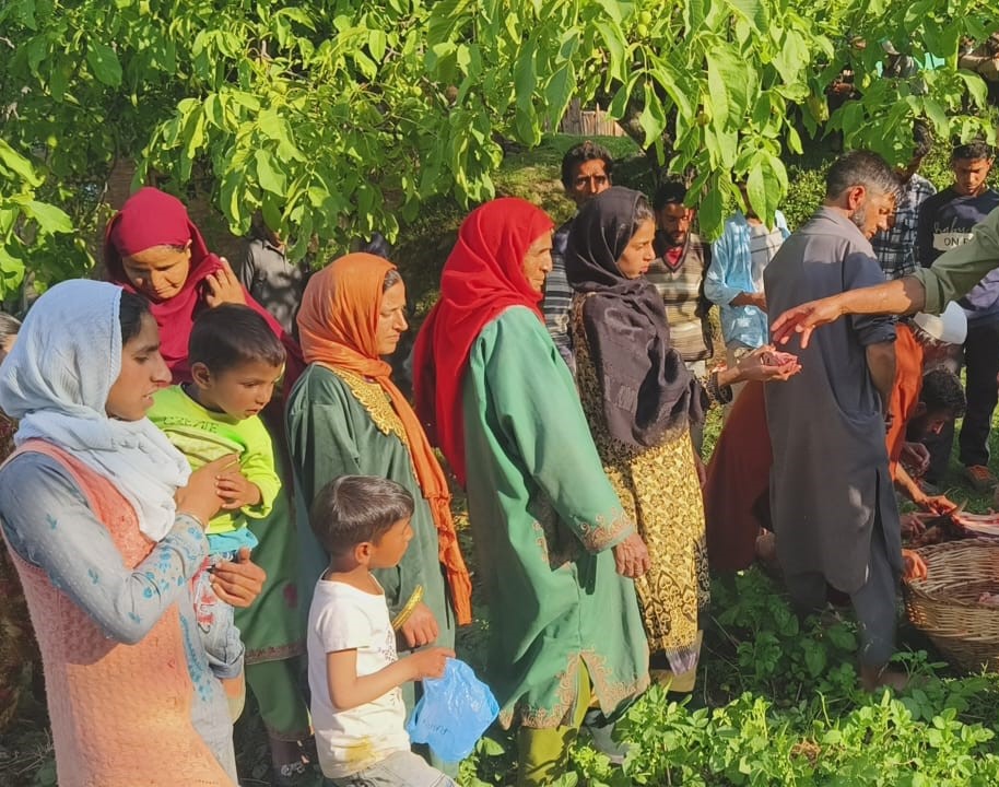 Nutrition program